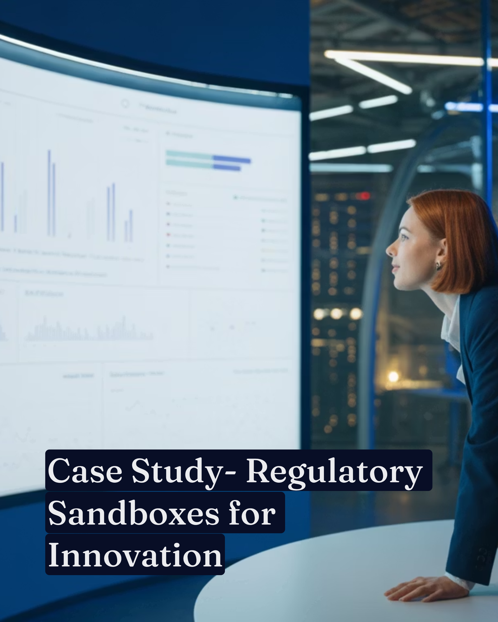 Case Study: Regulatory Sandboxes for Innovation