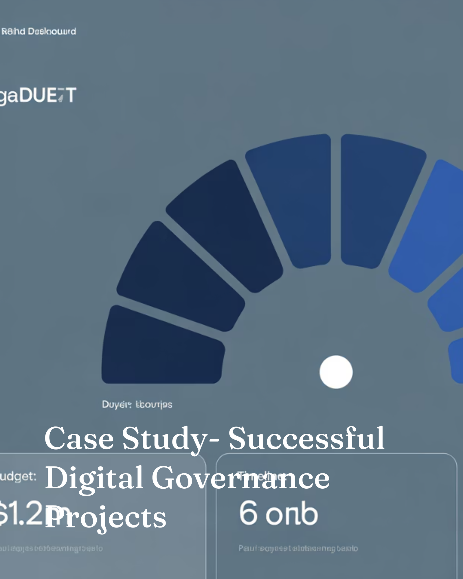 Case Study: Successful Digital Governance Projects