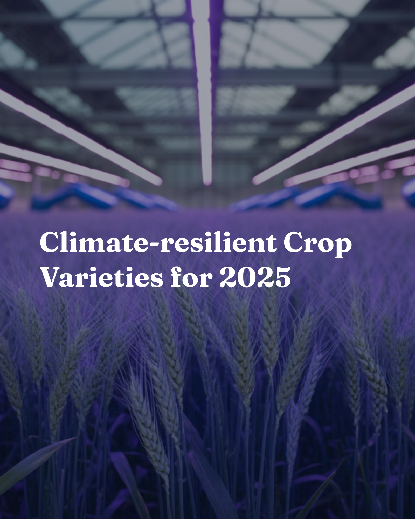 Climate-resilient Crop Varieties for 2025