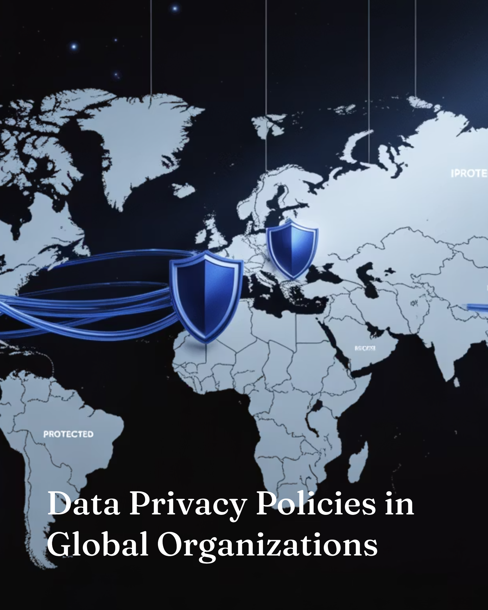 Data Privacy Policies in Global Organizations