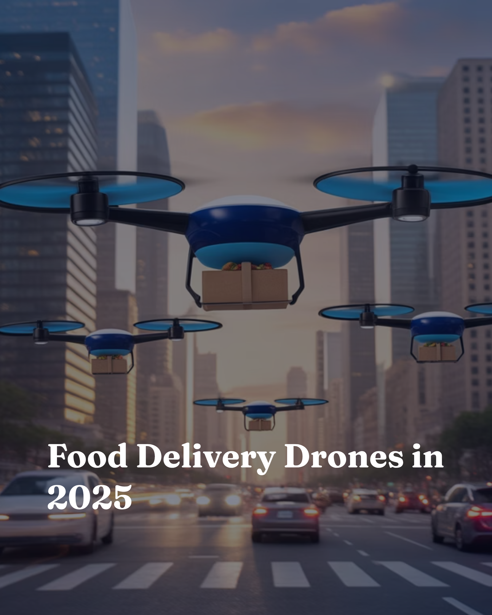 Food Delivery Drones in 2025