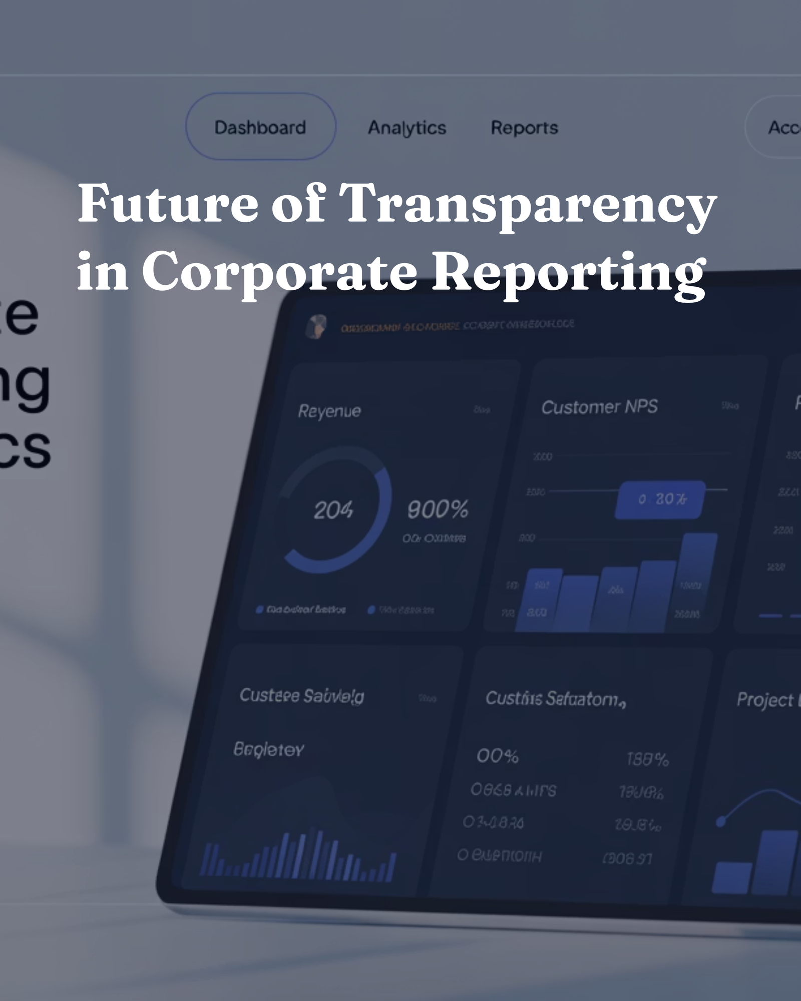 Future of Transparency in Corporate Reporting