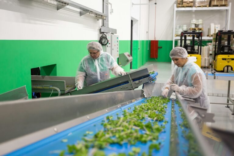 Revolutionizing Food Safety: The Role of AI-Driven Food Quality Control Systems