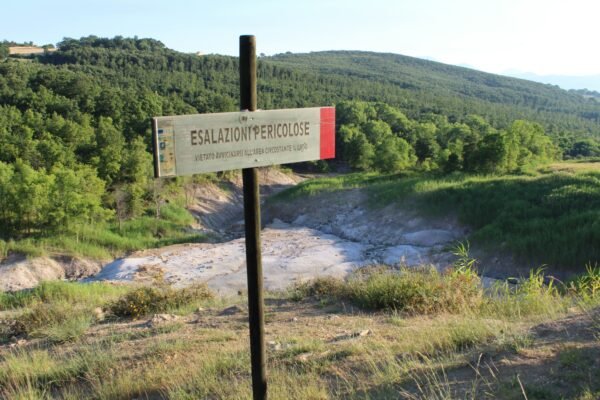 Harnessing AI for Environmental Risk Forecasting: A New Era of Predictive Analytics