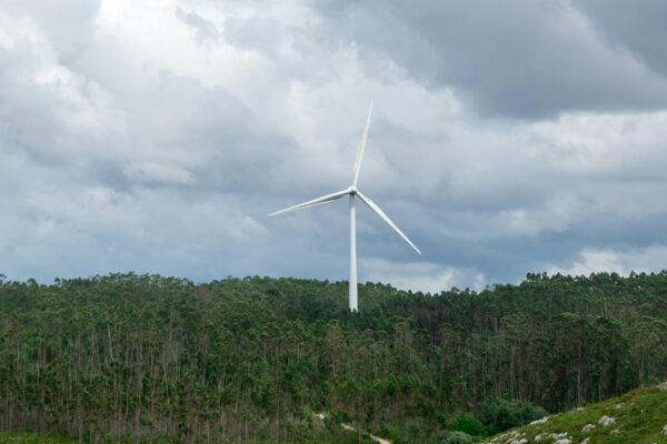 Harnessing AI for Accurate Wind Farm Output Forecasting