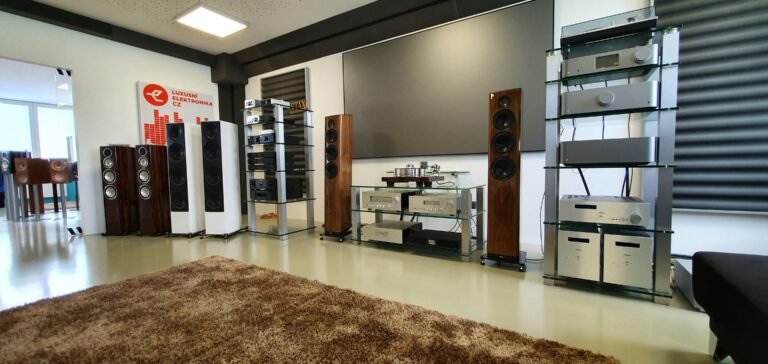 Understanding Consumer Preferences in Sound Experiences: Insights from Recent Surveys