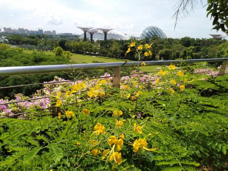 The Transformative Impact of Generative AI on Garden Planning