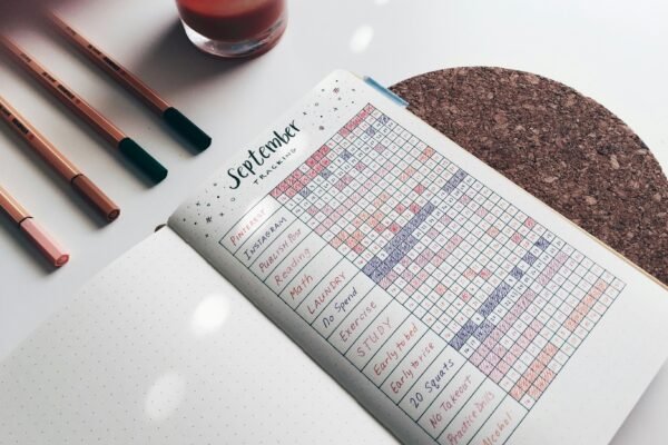 Harnessing AI Tools for Personal Carbon Tracking: A Comprehensive Guide